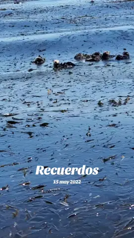 #Recuerdos
