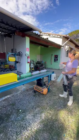 Banda transportadora para recuperar botellas plásticas aplastada Te explico así funciona 