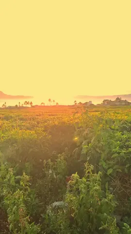 2019 vibes seasik ituu #sunset#ohanginbisikanpadanya #sadvibes 