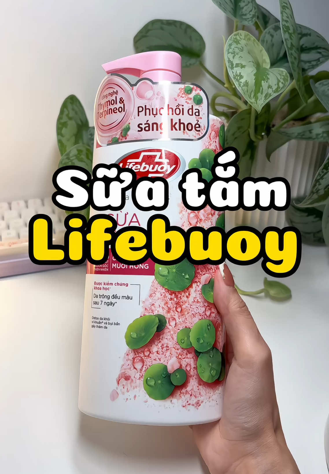 Sữa tắm chân ái cho mùa hè nè #suatam #suatamlifebuoy #lifebuoy #suatammuoihong #youpikchallenge #tiktok #annieriviu 