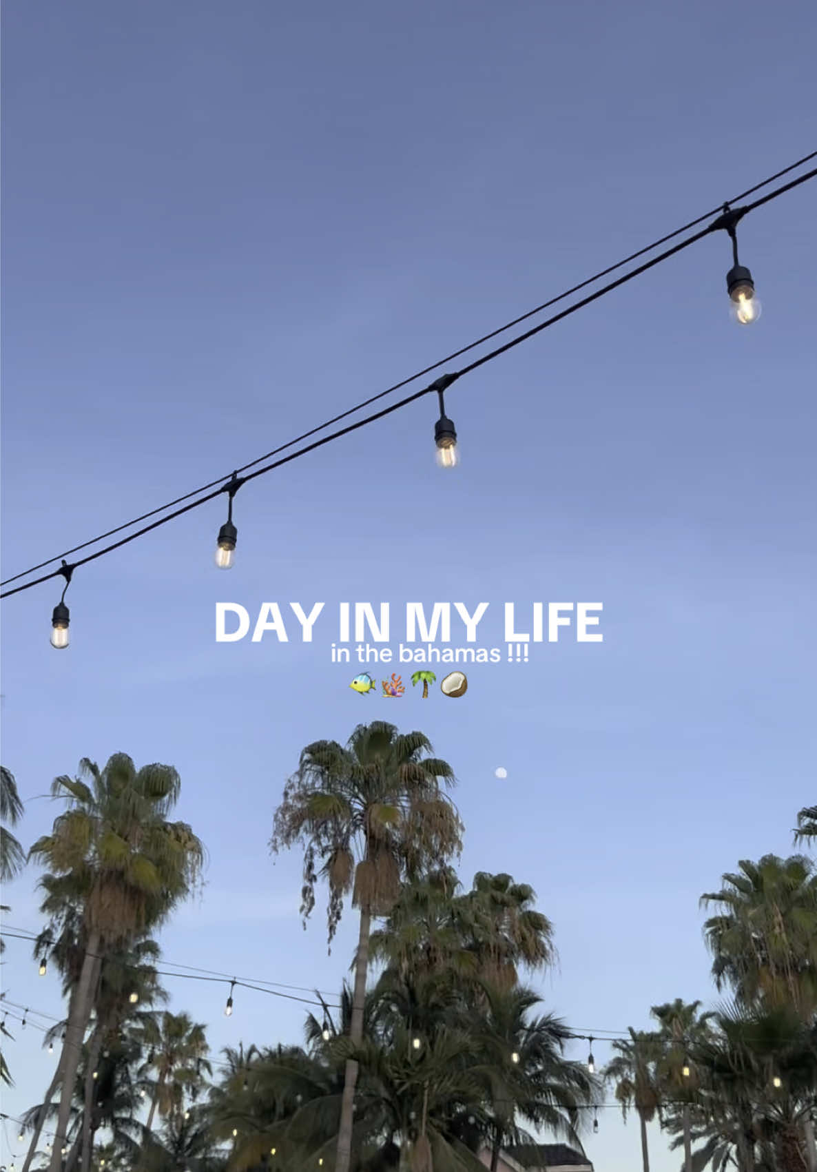 my husband surprised me with a one year anniversary trip - had no idea where we were going until we got to the gate 💘🥹 @PEPPERMAYO @Robin @shopfancyyy @Mejuri @Dolce Vita Footwear @abercrombie  @EVRY JEWELS use code MEGAN100  #dayinmylife #Vlog #vacation #Lifestyle #lifestylevlog #beach #timestamps #vacationvlog 