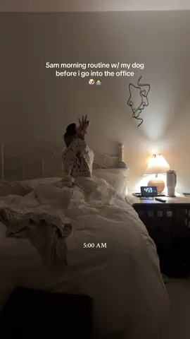 waking up at 5am is fun!! i love having a full day before my 9-5 in the office. especially having a dog! gotta spend time with him 🤍🐶👩🏻‍💻🏙️ #noodleyorkcity #dogmom #dogroutine #puppyroutine #5amclub #5ammorningroutine #5to9 #dogtips #puppytips #morninginspiration #dachshund #minidachshund #corporategirlies #officelife 