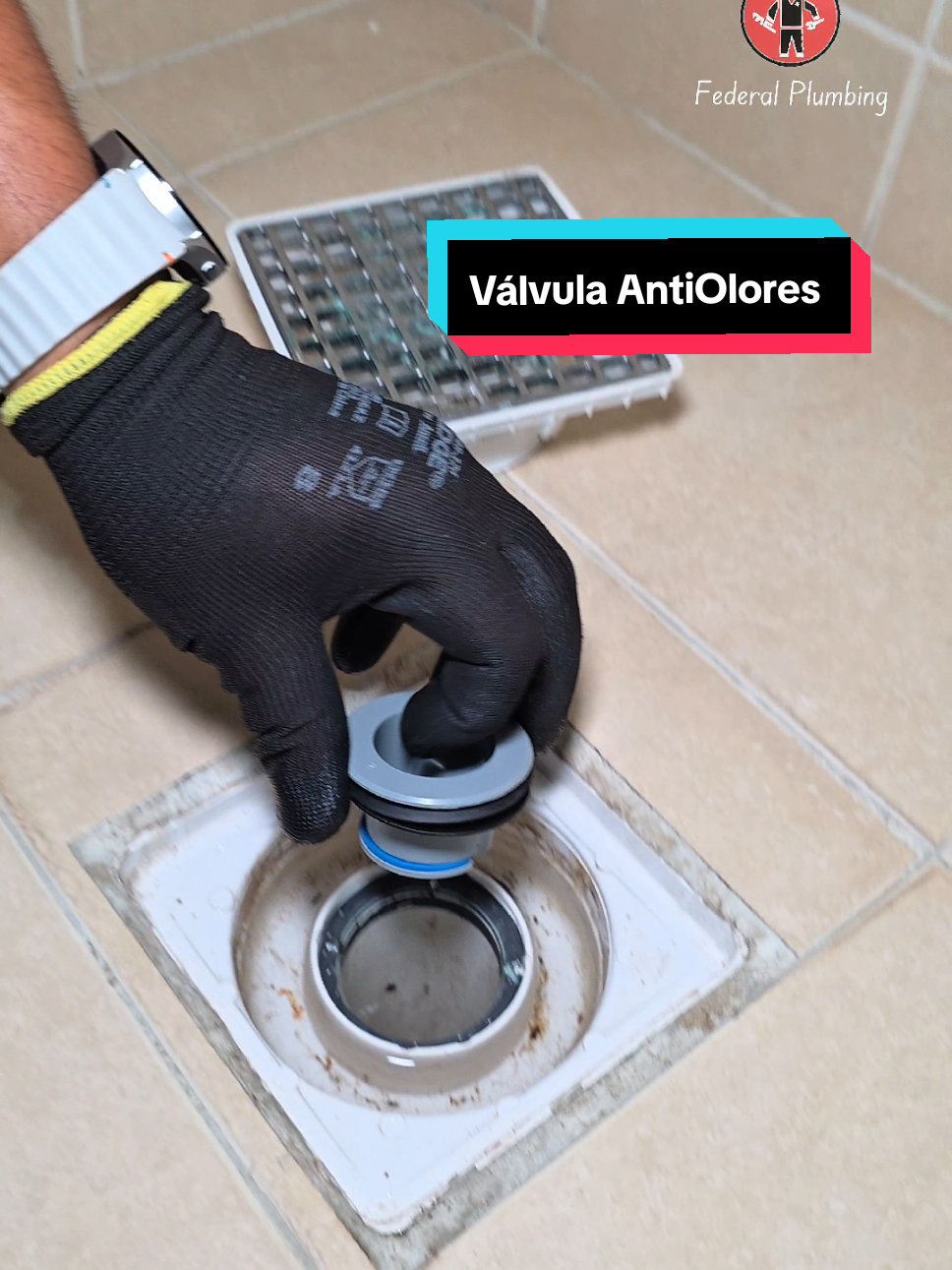 Acaba con los malos olores y las Cucarachas ⚡️🪳 Instala una Válvula antiolores en tus coladeras #plomeria #federalplumbing #baño #coladera #Tutorial #drenaje 