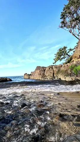 Where the river meets the sea ✨️ #nature #river #ocean #sea #waves #water #oregon #pnw #oregoncoast #calm 