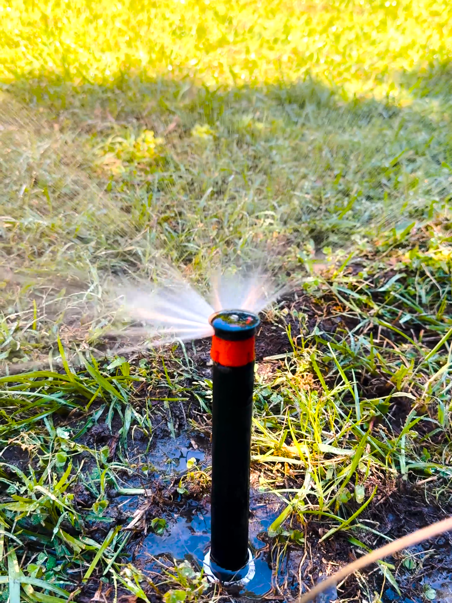 sprinklers the new asmr? 👀 💦#sprinkler #LawnCare #Satisfying #HydraIrrigation #ASMR