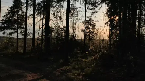 test #real #atmosphere #nature #sadvideo #vibes #aesthetic 