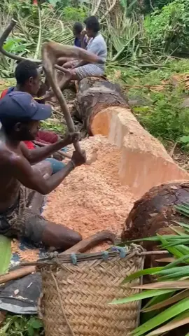 Turning trees into food : the traditional way to make Sago #history #tradition #food 