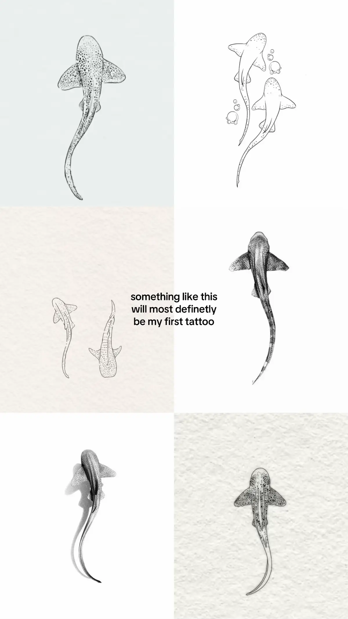 do you know why a shark never stops moving? #secret #secretaccount #fyp #vira #fooryou #foru #foryoupagе #foruyou #shark #sharktattoo #tattoo #inspofashion #inspiration 