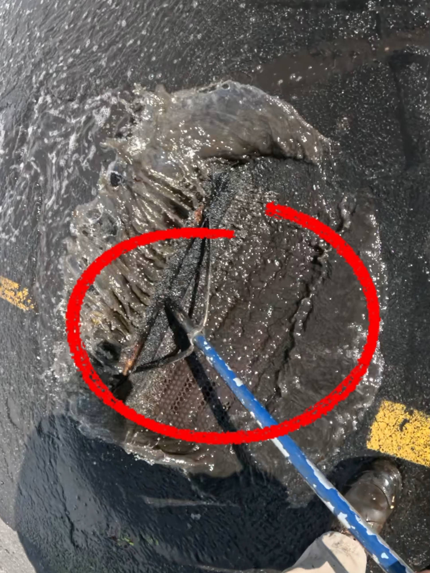 Cant patch that #fyp #asmr #asphalt #blacktop #asphaltpaving #sealcoating #satisfying #satisfyingvideo #work #new #USA #asmrvideo #usa