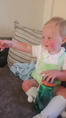 #babystealsthechicken #babytiktok #toddlersoftiktok #scottishtiktok #fridgeraiders #foryoupagе #fyp 