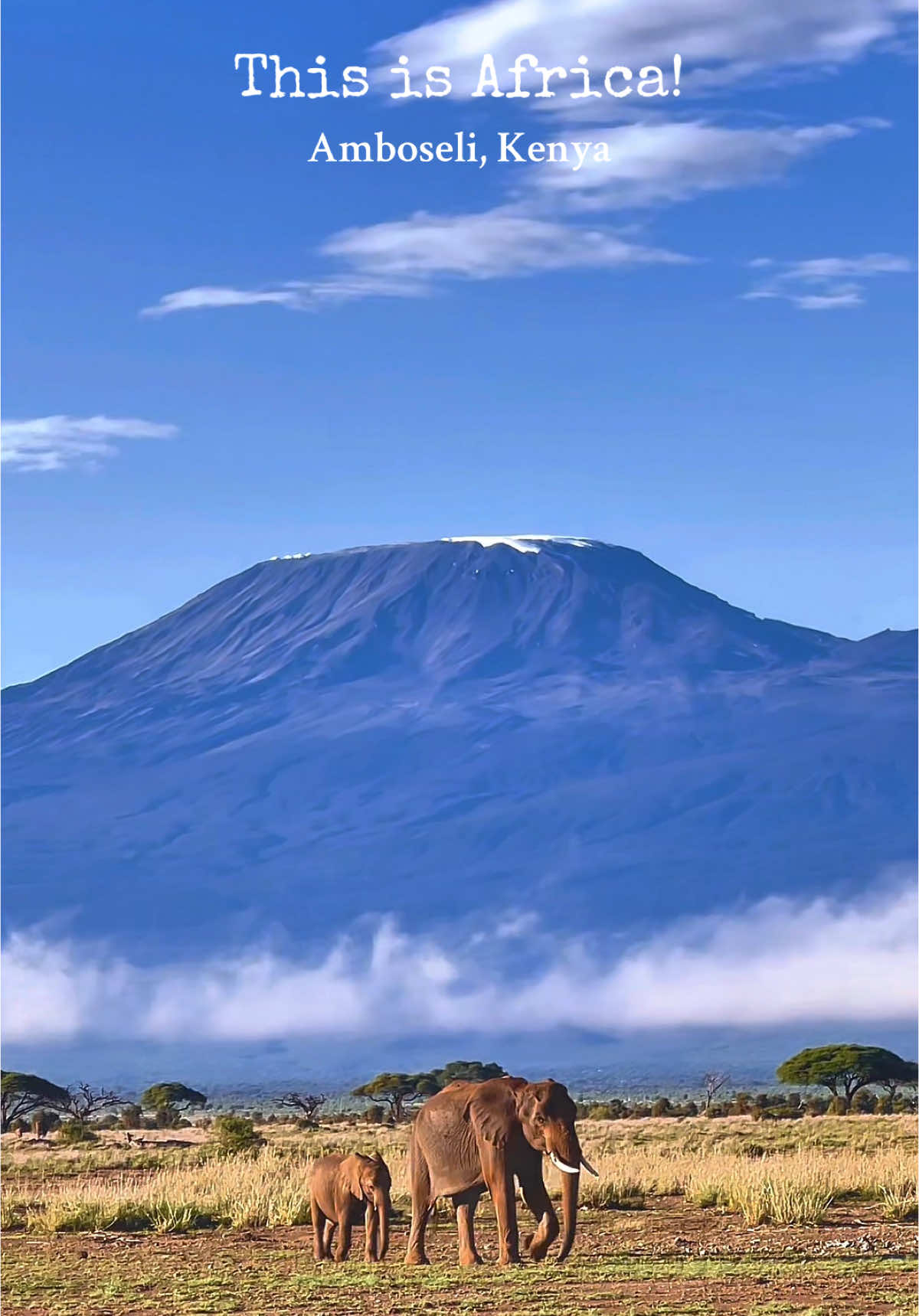 Explore the Wonders of Africa: Must-Visit Destinations!  Amboseli National Park hosts the most amazing view of Mt. Kilimanjaro  not to mention elephants and other wildlife. Morning and evening game drives ensure you make the most of your trip!  #travelafrica, #africadestinations, #tourexploration, #wanderlust, #adventureawaits #placestovisitinafrica #safari #gamedrives  #creatorsearchinsights 