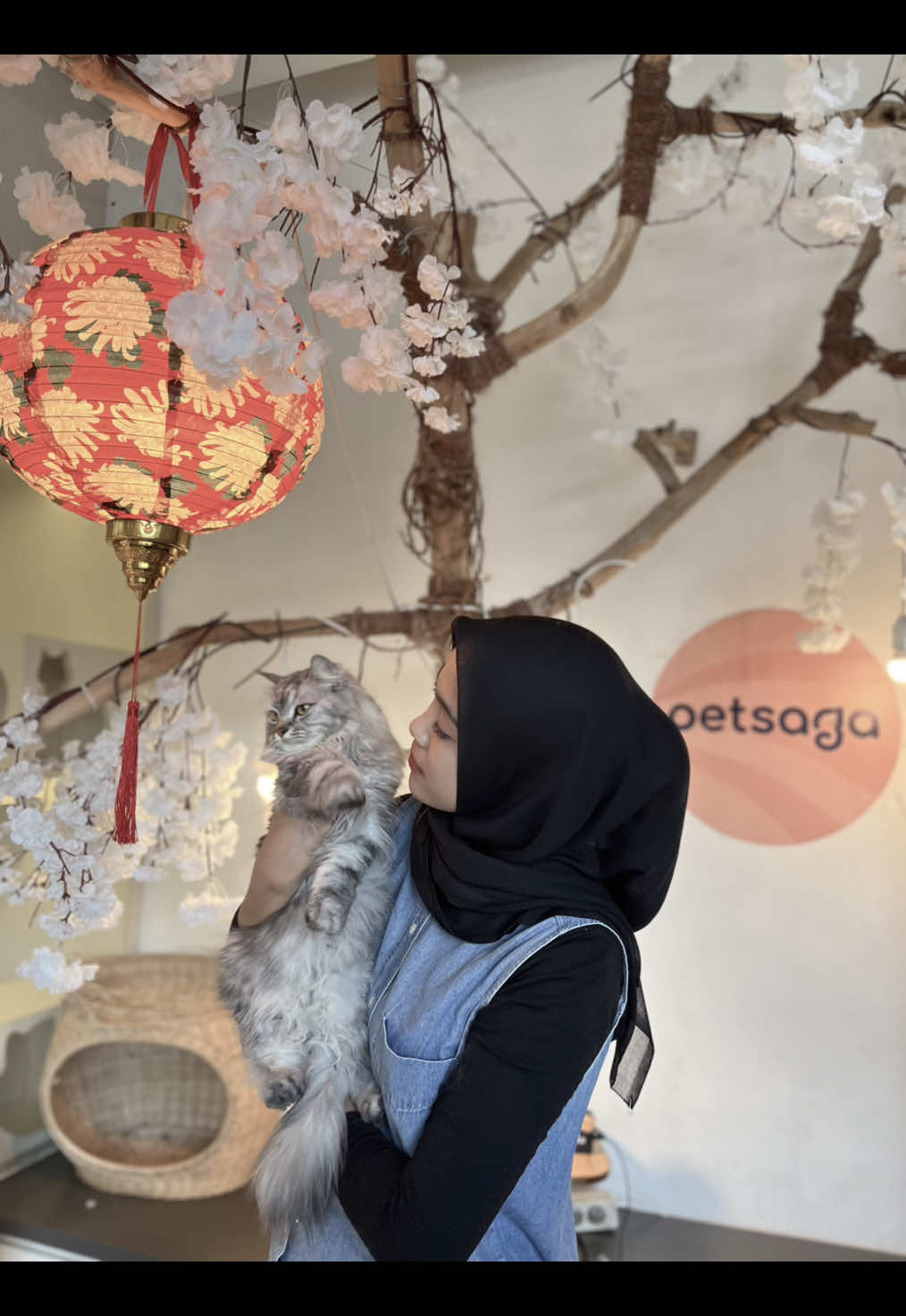 playing with miaw😻✨ #petsaga #caffekucing #petcaffe #caffejogja #petlovers #kucing #miau #jogja #explorejogja #fyp #foryou #foryoupage 
