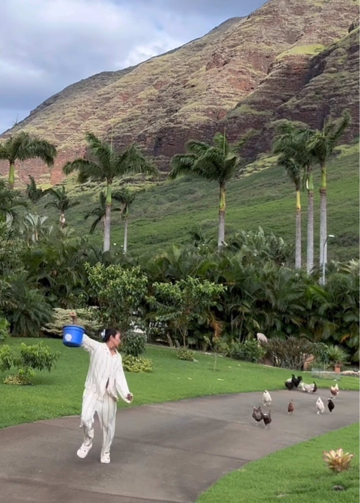 ME @ 7AM: hmmmm I wonder which one of my chicken is the fastest ??? 🤔🐓 Girl I know my neighbors are sick of me 😭😂