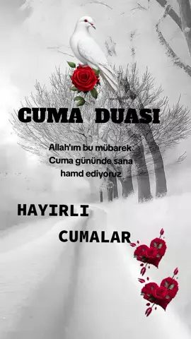 #HAYIRLI #CUMALAR #viral_viral_virsl #keşfetteeyizz #keşfetteeyizz 