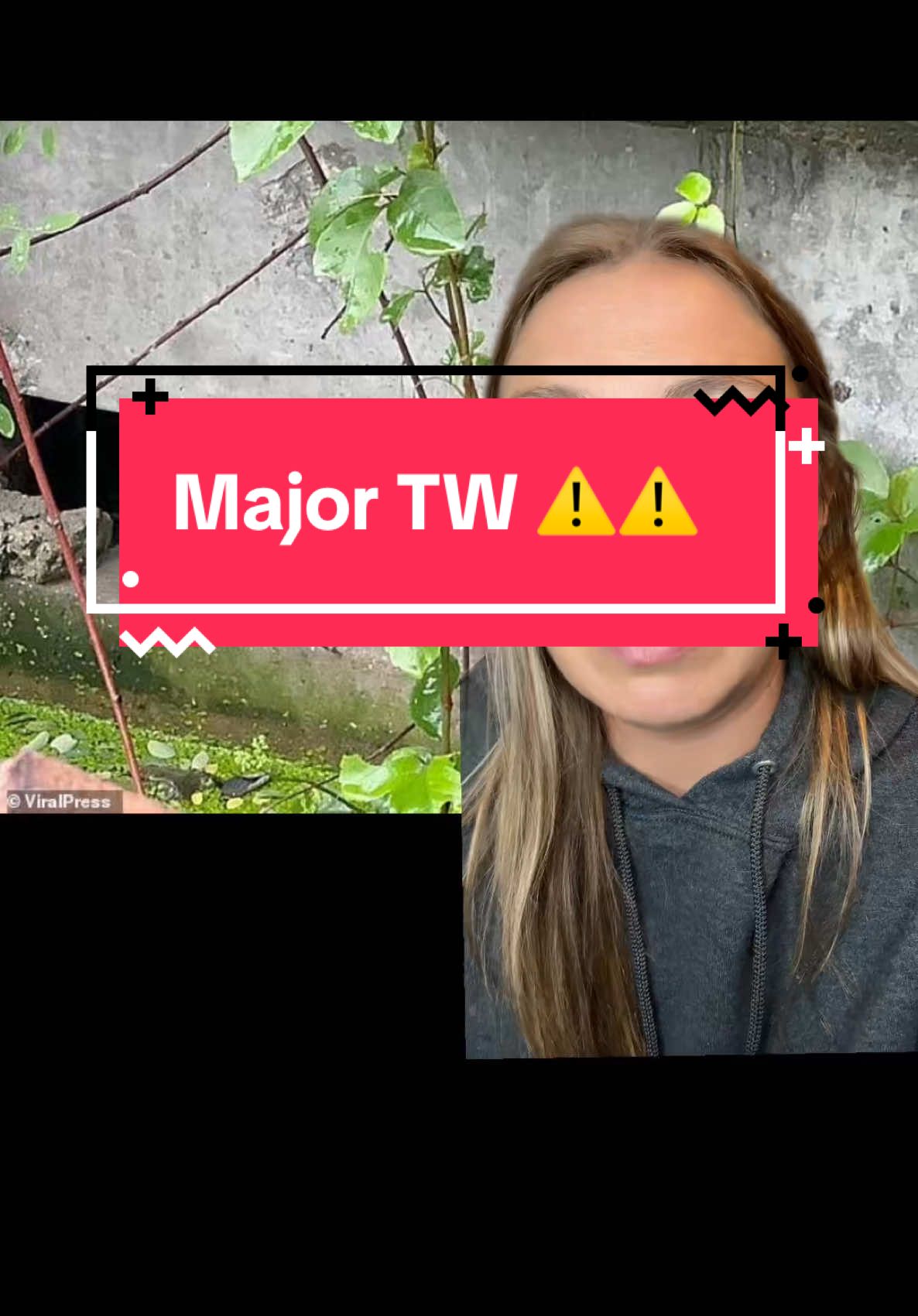 A monitor lizard in Thailand was caught doing the unthinkable #prayers #rip #thailand #news #crimedivewithjess #truecrime #awareness #triggerwarning #restinpeace #educationalpurposes #greenscreen 
