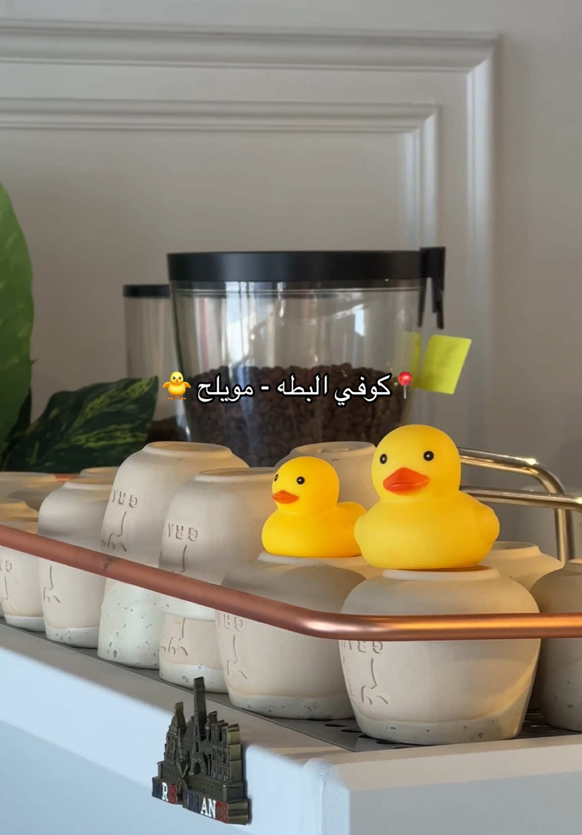 #muwailih_cafe #الشعب_الصيني_ماله_حل #اكسبلور -#مويلح #