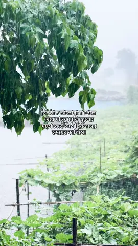 Hmm… #fyp #foryou 