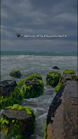 #اخر_اشي_نسختو💭🥀 #تصويري📸 #مجرد_ذووقツ🖤🎼 #اكسبلوررررر 