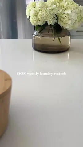Laundry Room Restock ASMR  #laundrytok #laundry #laundryrestock #laundryasmr 