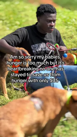 #animalsoftiktok 