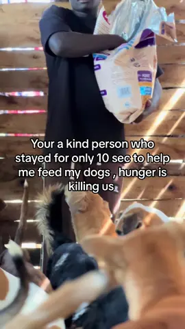 Please link in bio #animallover #animalsoftiktok 