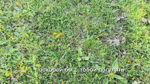 #люблю_тебя#