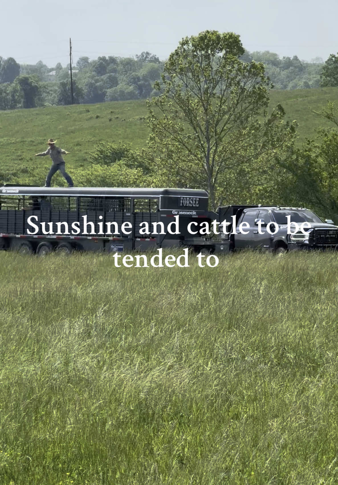 Groovy #summervibes #sunsout #cowboys   @CbarMhorses at it again 