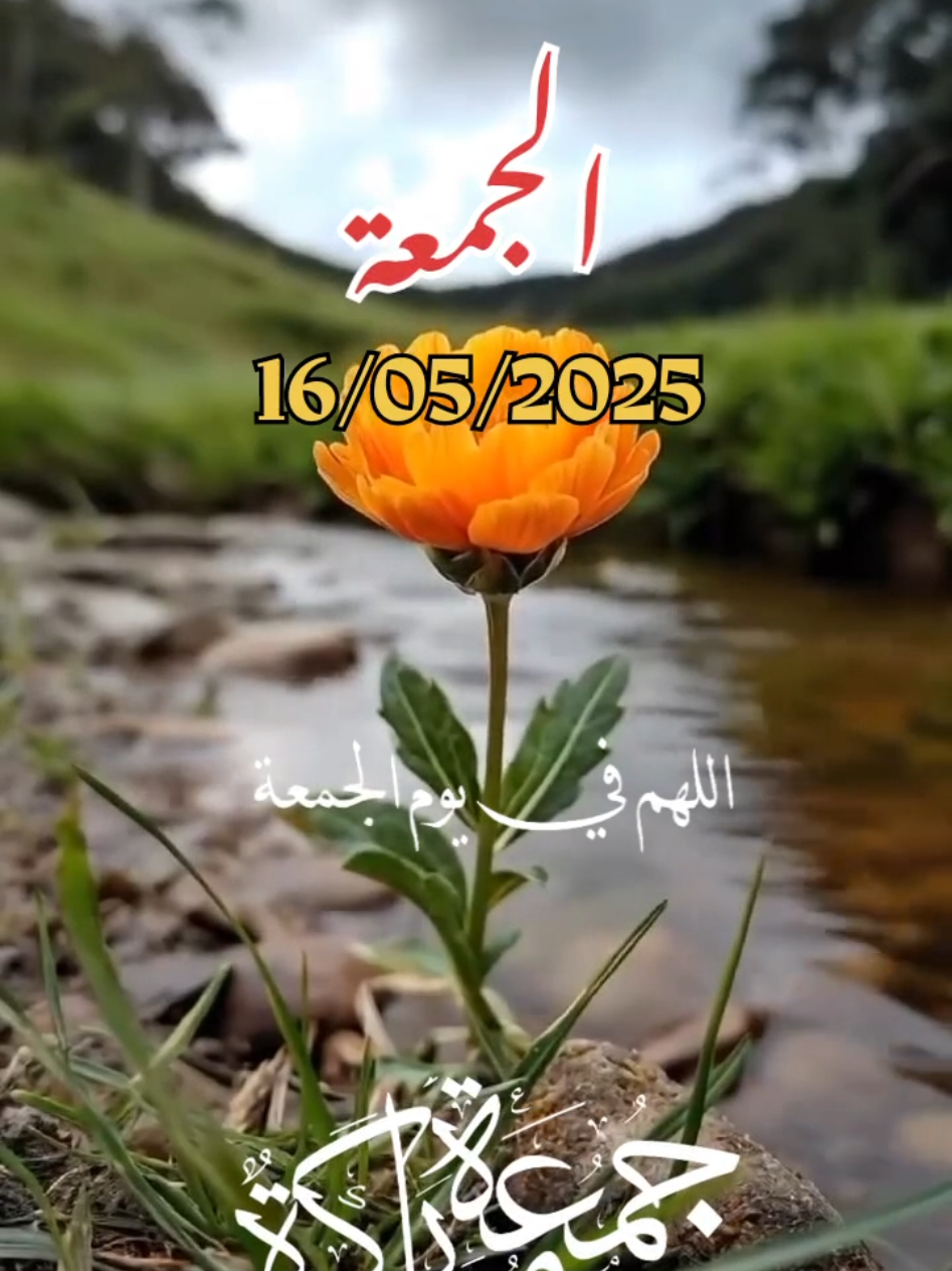 اللهم_في_يوم_الجمعة_يارب#دعاء_يريح_القلوب _أنشر_اكتب_شيء_ سورة الكهف_وصلي على سيدنا محمد ﷺ#اسلاميات_صور_مقاطع_ايات_معلومات_قرآن_مسلم_ادعية_استغفر_الله#fypシ゚viral #1millionaudition #🤲🤲🕋🕋🤲🤲#عيد_سعيد Oh mon Dieu, vendredi, Seigneur Oh God, on Friday Lord