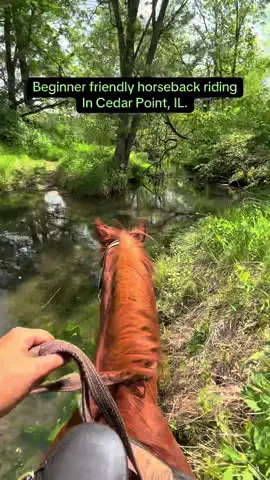 You heard it here! We will soon announce our 2hr trail when construction is done! Schedule your ride today! 🐴 #horsebackriding #trailridinginillinois #cedarcreekranch #illinoishorsetrailriding #illinoisvacation #trailriding #goatyoga #pettingzoo #horses #horse 