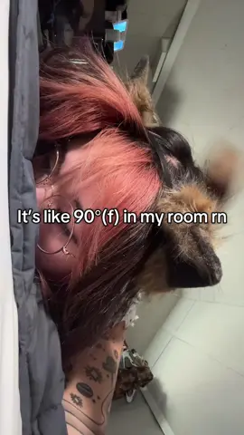 I’m not McLovin’ it #fypシ #viral #puppygirl #doggirl 