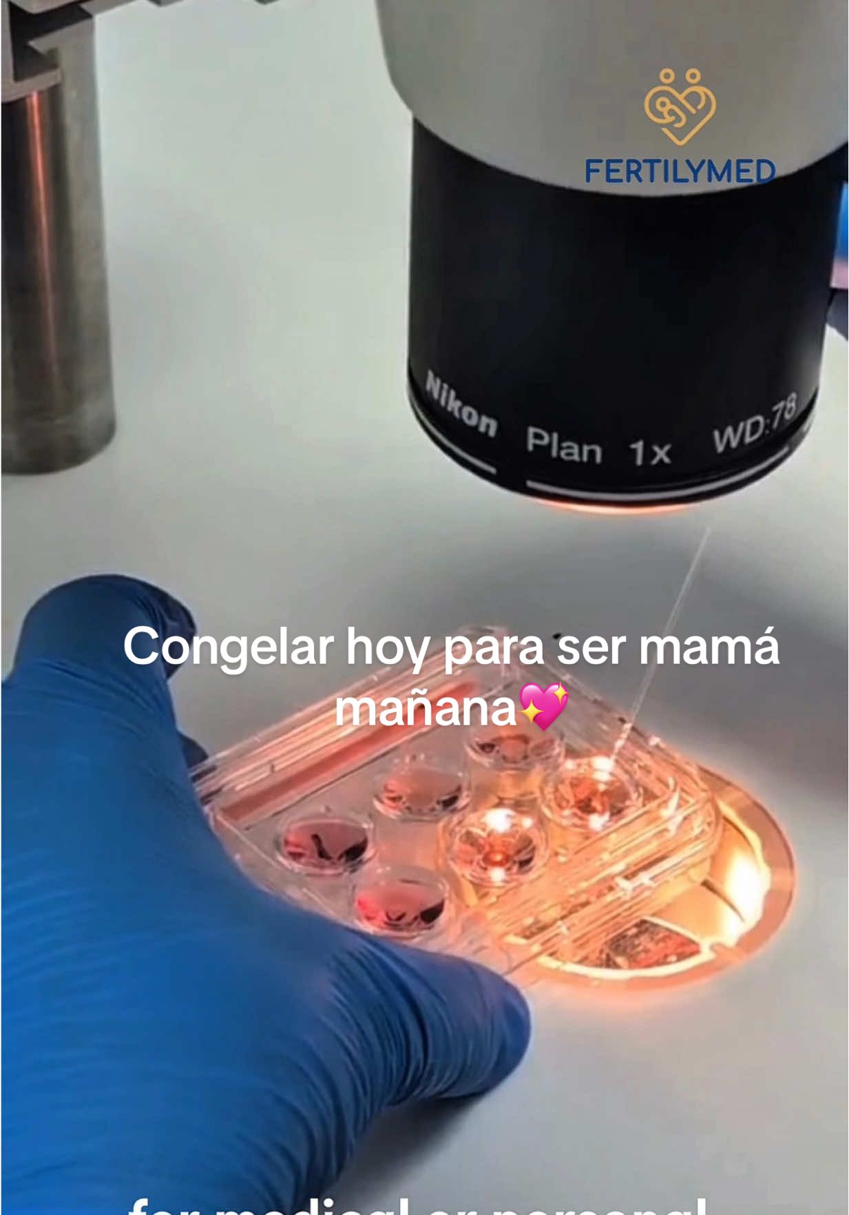 Criopreservación ❄️ de embriones Los embriones pueden conservarse en nitrógeno líquido a -196°C durante años, sin perder su calidad. Es una técnica segura y esencial en los tratamientos de reproducción asistida, ideal para postergar la transferencia o planificar futuros embarazos. Detener el tiempo, para elegir con calma. #criopreservación #fertilidad #embriones #reproducciónasistida #nitrógenolíquido #fertilityjourney