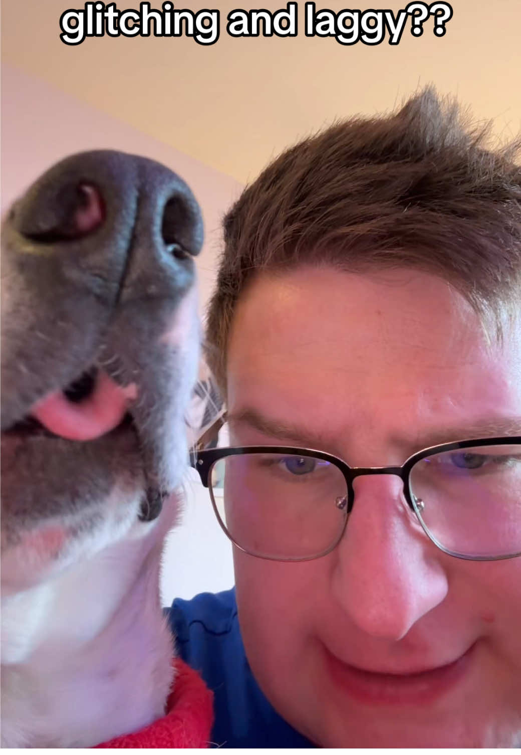 It’s so laggy suddenly #lag #tiktok #glitch #dog 
