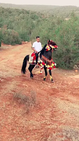 #خيل_وخياله🐎 #خيل_حصان_فرس_مهره_خيول_امهار_العاديات #خيل_وخياله #درنه_بنغازي_البيضاء_طبرق_ليبيا #بنغازي_طرابلس_ترهونه_رجمة_سرت_طبرق #شحات_سوسه_راس__البيضاء_طبرق_ليبيا #شعب_الصيني_ماله_حل😂😂 #المرج_بنغازي_البيضاء_طرابلس_ليبيا #لحمده_مركــــــز_الصـــــوب❤🔥📷 ##برسس_بنغازي_ليبيا_برقه🔥😉 #فرسان_ليبيا #فرسان_الخيل #لحمده #امساعد_طبرق_ليبيا_البردي__بدو_بدو #امساعد_طبرق_ليبيا_البردي_احدود_مصر 