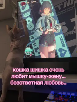 #шишка #шишуня #кошкашишка #cattiktok #rec #fyp #тренд #game #zzz #zenlesszonezero #сфинкс #мышкажена #джейндоу 