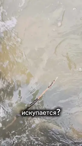 #летний_сезон_открыт#