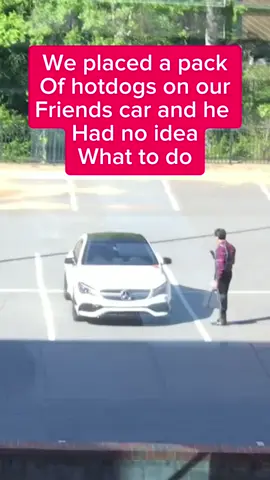 Our friend was so flummoxed by a pack of hotdogs dogs that was sitting on his car. 🤣 #prank