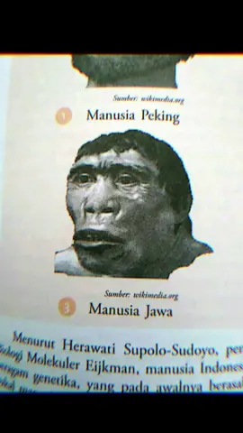 jawa jawa jawir🐵  #fyp #jawa 
