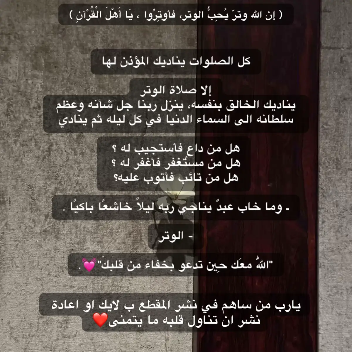 #الوتر #صلاة_الجمعة #صلاة_الوتر #قيام_الليل #يوم_الجمعه #اللهم_صل_وسلم_على_نبينا_محمد #قران_كريم #تعليم #يارب #اكسبلور #اجر_لي_ولكم #ادعولي_دعوه_من_قلبكم #راحة_نفسية 