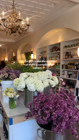 the cutest shop in all of chicago giving pure nancy meyers vibes. #nancymeyers #itscomplicated #nancymeyersaesthetic #chicago #lincolnpark 