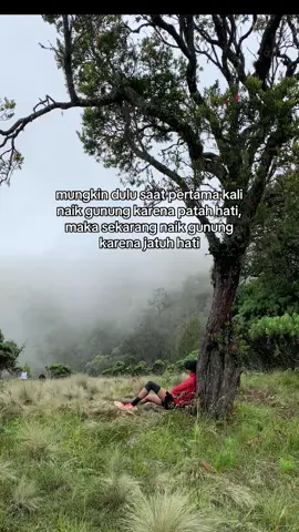 #pendakigunung #pendakiindonesia #katabaraa #channelpendaki #buthak_2868_mpdl #fyp 
