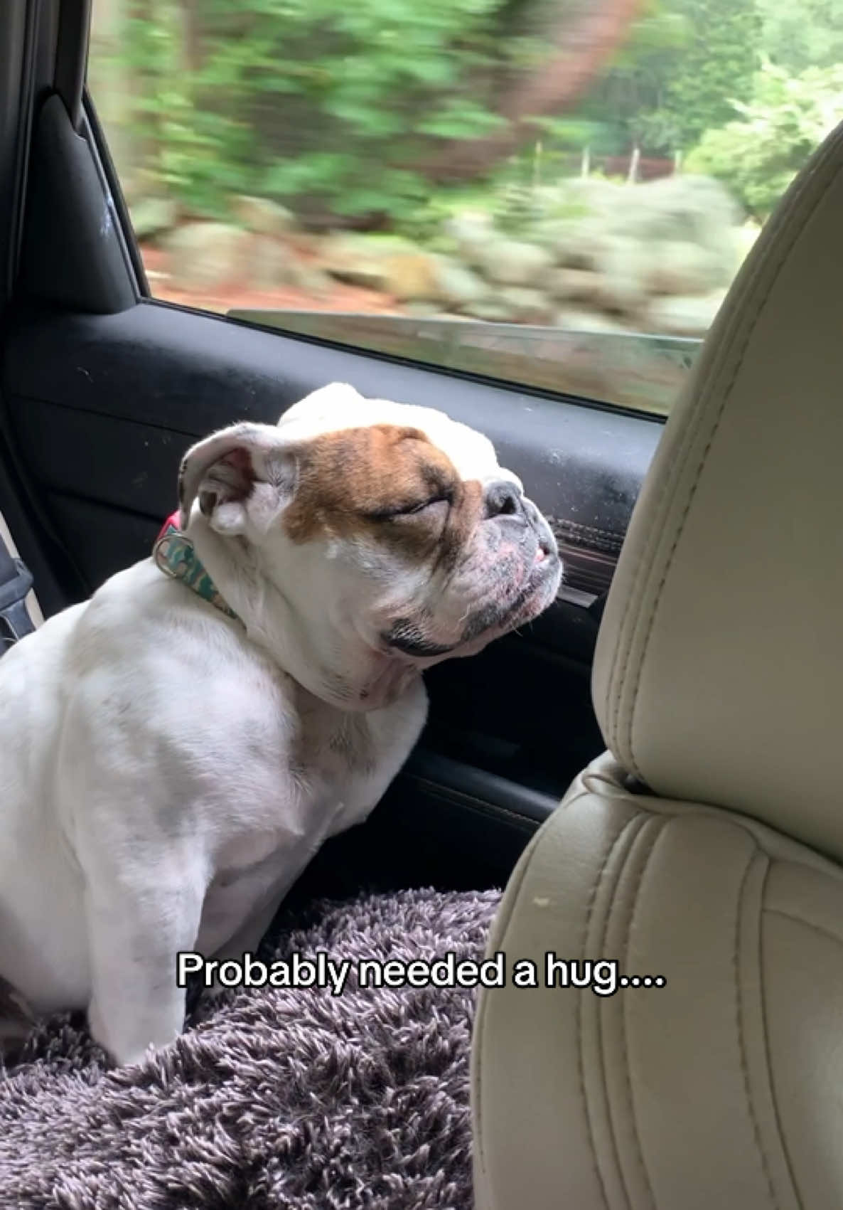 That smile tho....🥹 #wedontdeservedogs #therapy #Love 