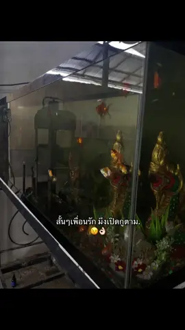 เธรด#fyp#ฟีดดดด