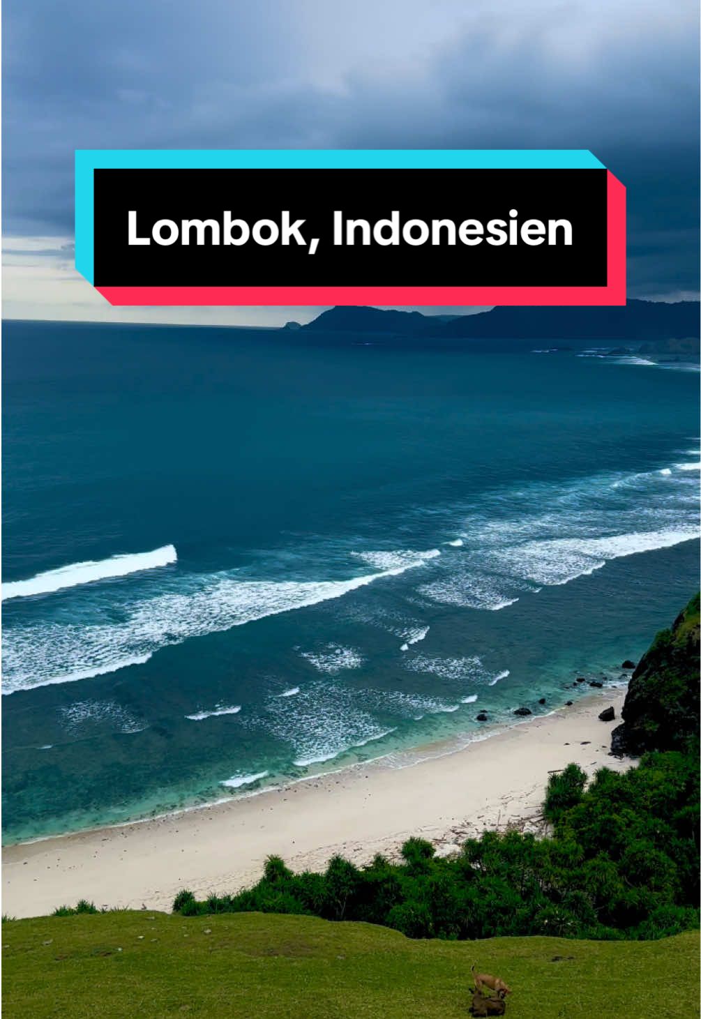 Merese Hill, Lombok ⛰️🌊🐃 #lombok #view #nature #fyp 