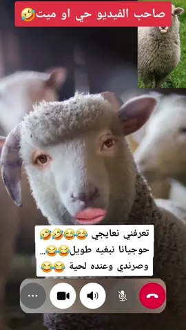 #الشعب_الصيني_ماله_حل😂😂 #ابوني_ياك_باطل_ولا_حنا_مانستاهلوش #🇩🇿🇲🇦🇹🇳 