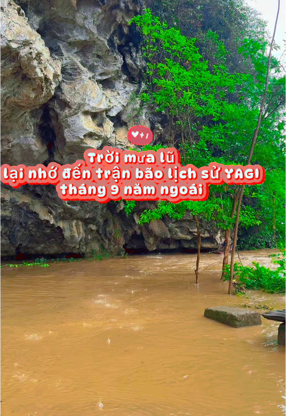 Bản mình nay mưa to quá #xuhướng#trendingtiktok #viral #bỏphốvềquê #nôngdân 