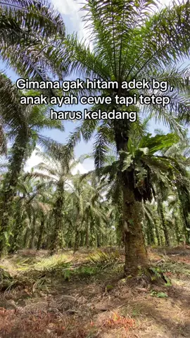cuman anak petani 🌴 #fyp #anakpetanisawit✅ 