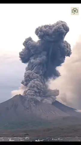 Pagi ini 16/5 waktu setempat, Gunung Sakurajima di Jepang kembali menunjukkan kekuatannya yang luar biasa. Letusan demi letusan dari gunung berapi aktif ini selalu menjadi pengingat bahwa Bumi terus bernapas, terus bergerak, dan kadang mengamuk. Fenomena ini bukan hanya menakjubkan secara visual, tapi juga penuh dengan makna geologis dan sejarah—Sakurajima telah aktif selama lebih dari 100 tahun dan menjadi salah satu simbol alam paling menakutkan sekaligus menawan di Jepang. Fenomena seperti ini mengingatkan kita akan kekuatan alam yang tak bisa dikendalikan manusia. Mengagumkan, sekaligus membuat kita rendah hati. Video asli oleh @volcaholic1 (X). Kredit penuh untuk kreator aslinya! #Sakurajima #VolcanoEruption #LetusanGunungApi #NaturePower #JapanVolcano #FenomenaAlam #NaturalDisaster #Geologi #AmazingNature #GunungMeletus #EarthAwakens #KeajaibanAlam #VolcanoWatch #BumiBergerak #WildEarth #trendingtiktok #videovilral #fyppppppppppppppppppppppp  #fyp 