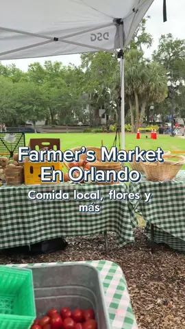Postres del mundo, frutas frescas y sabores que no esperaba encontrar en un mercado local de Orlando… me encantaron !  Si estás en Orlando y te encantan los planes tranquilos, la comida real y descubrir cosas nuevas .. esto es para ti 💖.  Cuál probarías tú primero? Porque yo no supero los brigadeiros  #farmersmarket #farmersmarketorlando #orlandofoodie #lakeeola #orlando #orlandoflorida 