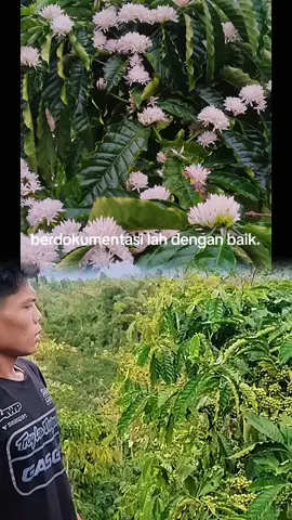 finall#soundpetani #kopista #kopirobusta #kopi #viral #vyp #petanimuda 