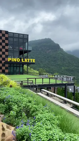 #เทรนด์วันนี้ #pinolatte #เขาค้อ #ภูทับเบิก 